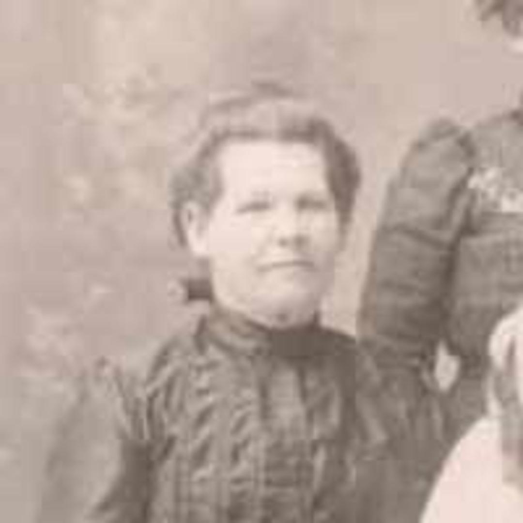 Frances Camilla Chapman (1857 - 1934) Profile